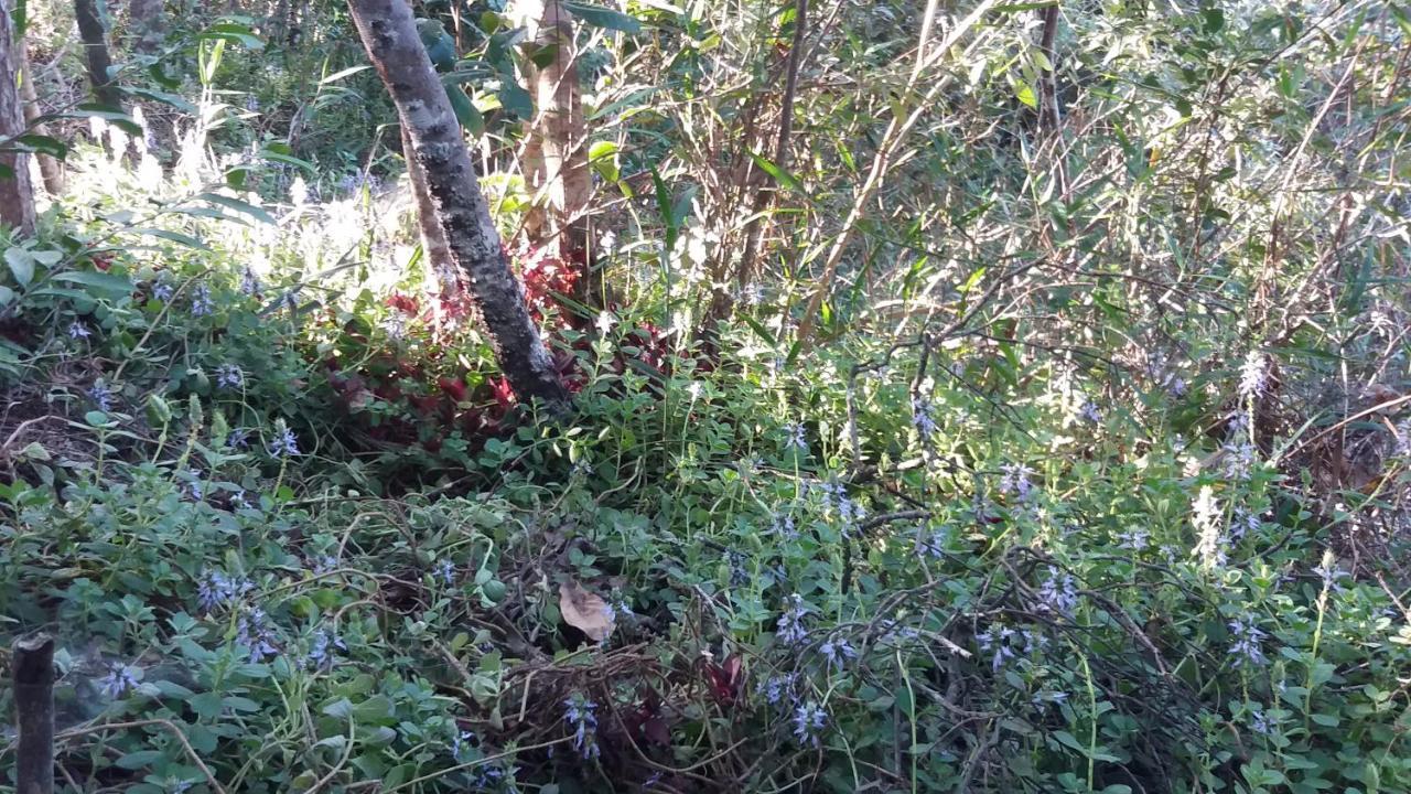 Morada Dos Elfos Villa Vale do Capao Buitenkant foto